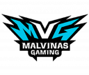 MALVINAS GAMING esports team