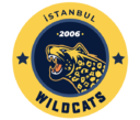 istanbul wildcats esports team